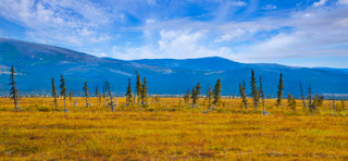 Potential field test site for the Next-Generation Ecosystem Experiments (NGEE) project  located some 80 miles from Nome, Alaska. (Image by Roy Kaltschmidt, Berkeley Lab)