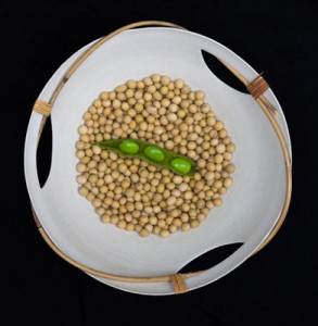 soybean_bowl