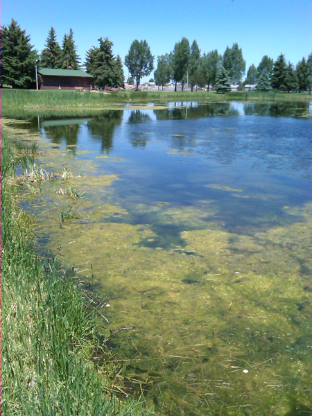 Photo: LaBonte Lake, Laramie, Wyoming (Sage McCann)