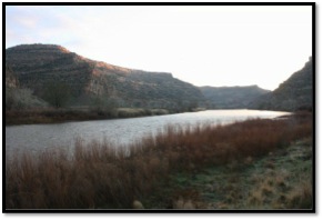 Sediment from an aquifer near the Colorado River was sampled to reveal the community  composition of microbes. It was determined that Chloroflexi, a relatively unknown phylum,  made up a significant proportion of this sediment.