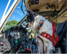 Moose isn't certified (yet) to fly a helicopter, but he sits  at the cockpit before he and Tootie lift off with  Miami-Dade Air Rescue