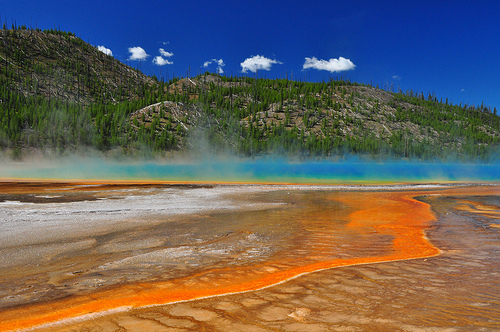 Thermophilic bacteria, like the bacteria above that decorate the hot pools in Yellowstone National Park, hold key roles in the deconstruction of biomass.