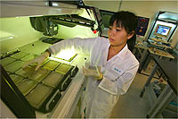 A technician loads plates into the colony picking machine.