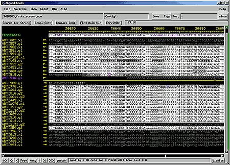 Browsing through a sequence in Consed.