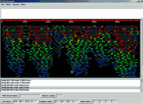 Assembling sequenced reads in Phrap.