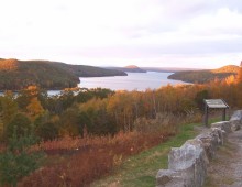 The bacteria in this study, Clostridium phytofermentans, were isolated near the Quabbin Reservoir in Massachusetts. The bacteria live in the soil and help break down leaf litter on the forest floor. (Image by Philip Halling via Wikimedia Commons)