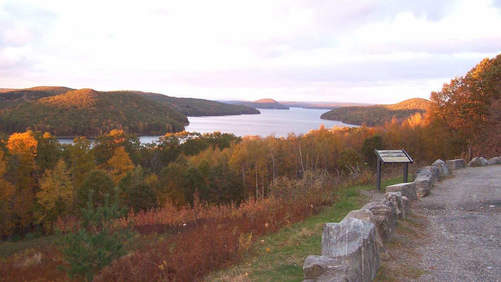 The bacteria in this study, Clostridium phytofermentans, were isolated near the Quabbin Reservoir in Massachusetts. The bacteria live in the soil and help break down leaf litter on the forest floor. (Image by Philip Halling via Wikimedia Commons)