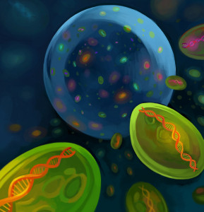 Artist’s interpretation of Prochlorococcus diversity in a drop of seawater