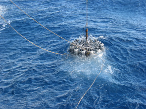 ocean sampling device