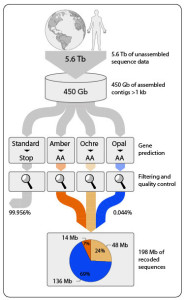 workflow codon reassignment