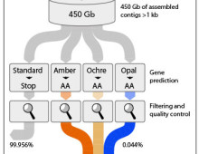 workflow codon reassignment