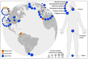 map of codon reassignment by Patrick Schwientek