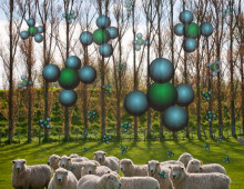 sheep in field with methane molecules