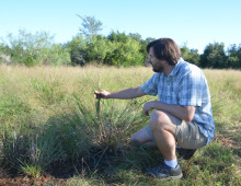 Tom Juenger of UTA with panic grass