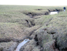 frozen peaty soil collapsing into a thermokarst bog