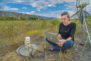 Jillian Banfield, Ph.D., UC Berkeley Professor and Berkeley Lab Earth Sciences Division staff scientist 