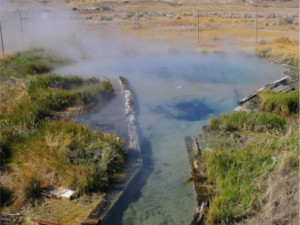 Metagenome isolates from Great Boiling Spring were used to generate 'Atribacteria' (OP9) genomes. (Robert Dodsworth)