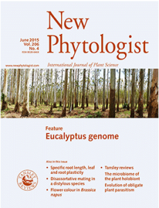 screencap of June 2015 New Phytologist cover