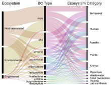 A chart of ecosystem sources for the 10 most common biosynthetic cluster enzymatic types. Generating these data in the IMG-ABC database is made possible by the integration of the portal with the IMG and GOLD databases, which allow access to metadata annotations. (Credit: Hadjithomas M et al. mBio Jul 2015)