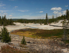 Researchers worked with samples extracted from Norris Geyser Basin at Yellowstone National Park. (Tjflex2, CC BY-NC-NC-2.0)