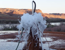 The newly discovered CRISPR-CasY system was found in bacteria from deep underground at Crystal Geyser in California. (Jill Banfield, UC Berkeley)