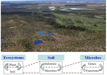 Alaska (tundra) site studied with schematic below of the metagenomic pipeline to identify sequence-discrete populations. (Adapted from Rodriguez-R and Konstantinidis, Microbe Magazine, 2014 and provided by Kostas Konstantinidis)