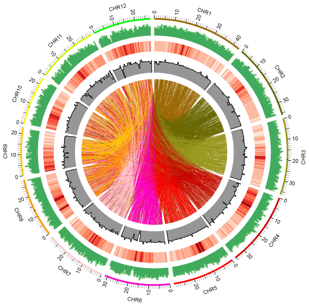 Genome-wide distribution of fast neutron-induced mutations in the Kitaake rice mutant population. (Guotian Li and Rashmi Jain)