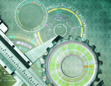 The importance of standards is dramatically illustrated when they don’t exist or are not commonly accepted. an international team led by DOE JGI researchers has developed standards for the minimum metadata to be supplied with single amplified genomes (SAGs) and metagenome-assembled genomes (MAGs) submitted to public databases. (Zosia Rostomian, Berkeley Lab Creative Services)