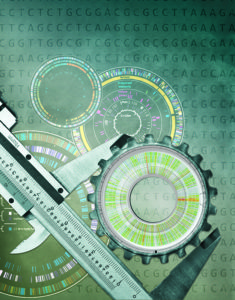 The importance of standards is dramatically illustrated when they don’t exist or are not commonly accepted. an international team led by DOE JGI researchers has developed standards for the minimum metadata to be supplied with single amplified genomes (SAGs) and metagenome-assembled genomes (MAGs) submitted to public databases. (Zosia Rostomian, Berkeley Lab Creative Services)