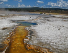 Samples used to demonstrate the efficacy of the new technology were taken from hot springs at Yellowstone National Park. (Image by Paul Blainey, Christina Mork and Geoffrey Schiebinger)