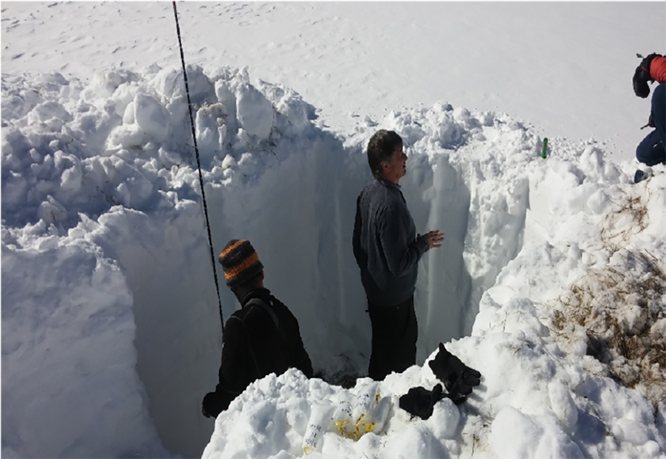 Snow-pits (~2m) were dug at the East River field site in March 2017 in order to characterize baseline soil N pool sizes, microbial biomass chemistry, and bacterial and fungal community composition.