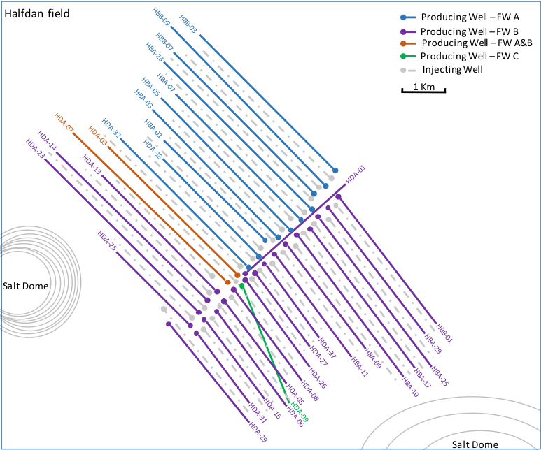 Schematic of Halfdan Oil Field. (Courtesy of Nicolas Tsesmetzis)