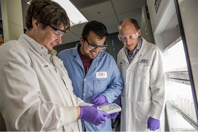 Left to Right: Ben Cole, Sai Prahabkar and Axel Visel (Marilyn Chung, Berkeley Lab)