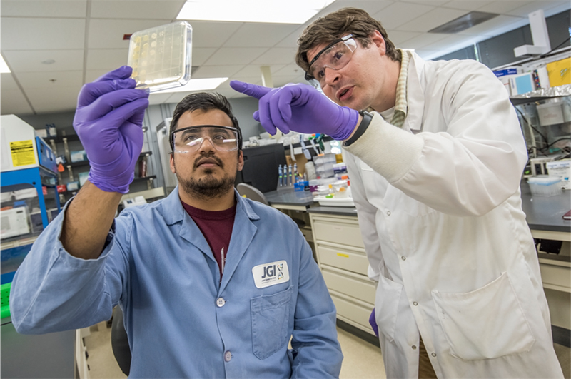 Sai Prahabkar and mentor Ben Cole (Marilyn Chung, Berkeley Lab)