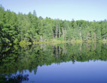 The team used data from a 3-year metagenomic time series collected from Trout Bog Lake, a smaller acidic bog in Wisconsin. (Image courtesy of Trina McMahon)