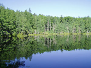 The team used data from a 3-year metagenomic time series collected from Trout Bog Lake, a smaller acidic bog in Wisconsin. (Image courtesy of Trina McMahon)