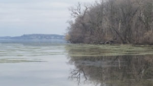 The team used data from a 5-year time series collected from Lake Mendota, a large freshwater lake in Wisconsin. (Courtesy of the McMahon Lab)