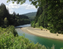 The Angelo Coast Range Reserve, from which soil samples were taken, protects thousands of acres of the upper watershed of South Fork of the Eel River (shown here) in Mendocino County. (Akos Kokai via Flickr, CC BY 2.0 https://www.flickr.com/photos/on_earth/17307333828/)