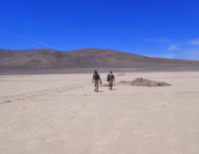 At the Heradura Playa in Atacama Desert of Chile. Alessandro Airo's team is interested in the Atacama's microbial communities. (Courtesy of A. Airo)