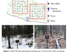 Barre Woods Experimental Warming Site, the location for Jeffrey Blanchard's approved proposal involving a long-term soil warming experiment. (Courtesy of J. Blanchard)