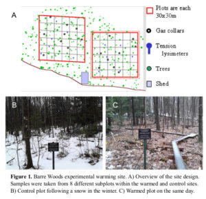 Barre Woods Experimental Warming Site, the location for Jeffrey Blanchard's approved proposal involving a long-term soil warming experiment. (Courtesy of J. Blanchard)