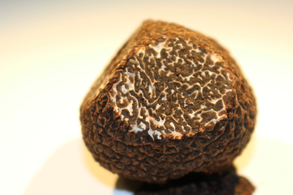 Truffe noire du Peěrigord (Tuber melanosporum). (Francis Martin)