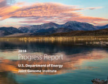 2018 JGI Progress Report cover