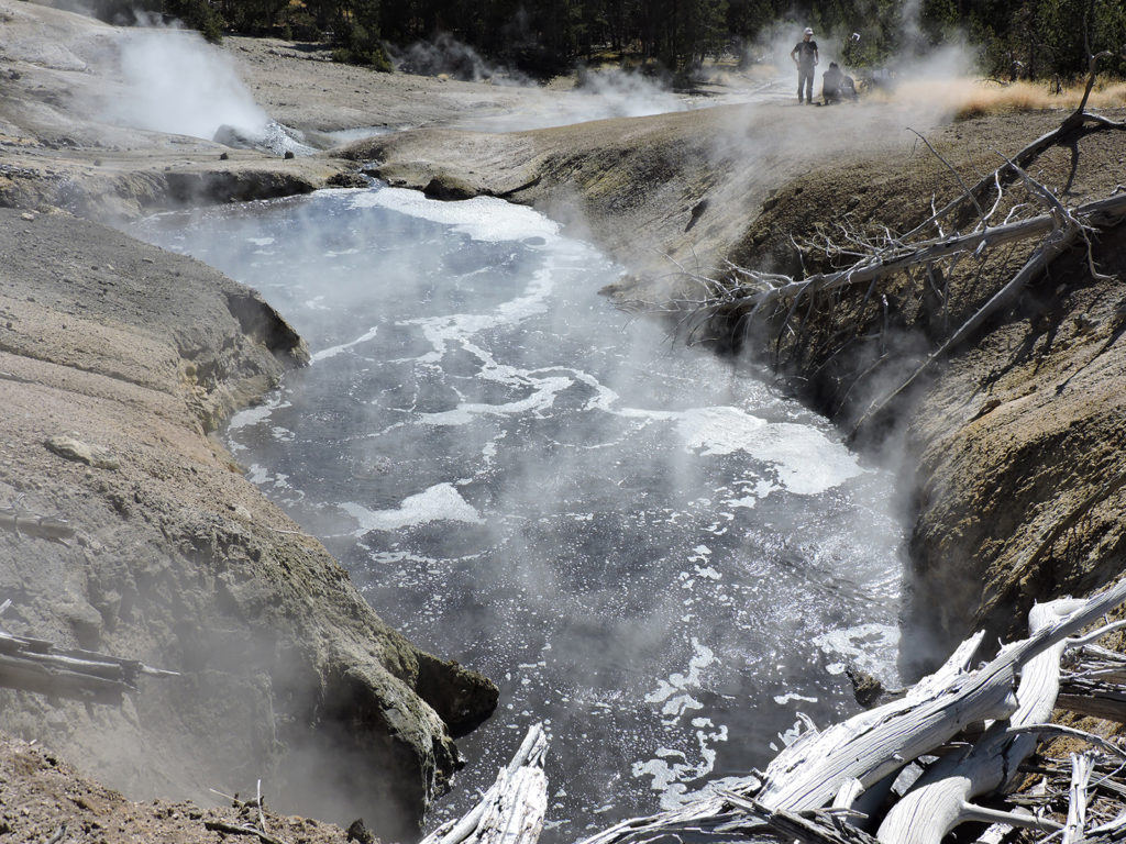 : One of the larger geothermal pools (Temperature 65-70 oC, pH 6.4) located at Washburn Hot Springs (Research Permit YELL-2012-SCI-05068. Image: W. Inskeep). 