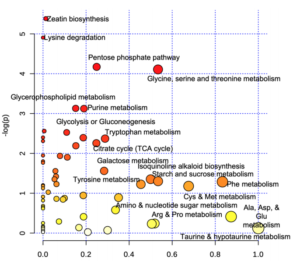 Figure 3. Metabolic pathways altered by inoculated stems organized by pathway enrichment analysis (p-values) and pathway topology analysis (pathway impact).