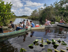 Students in the 2018 Boca Raton Community High School A-Level Advanced International Certificate of Education (AICE) Biology class collected samples from the Arthur R. Marshall Loxahatchee National Wildlife Refuge for the pilot project between the class and the JGI. (Image courtesy of Jon Benskin)