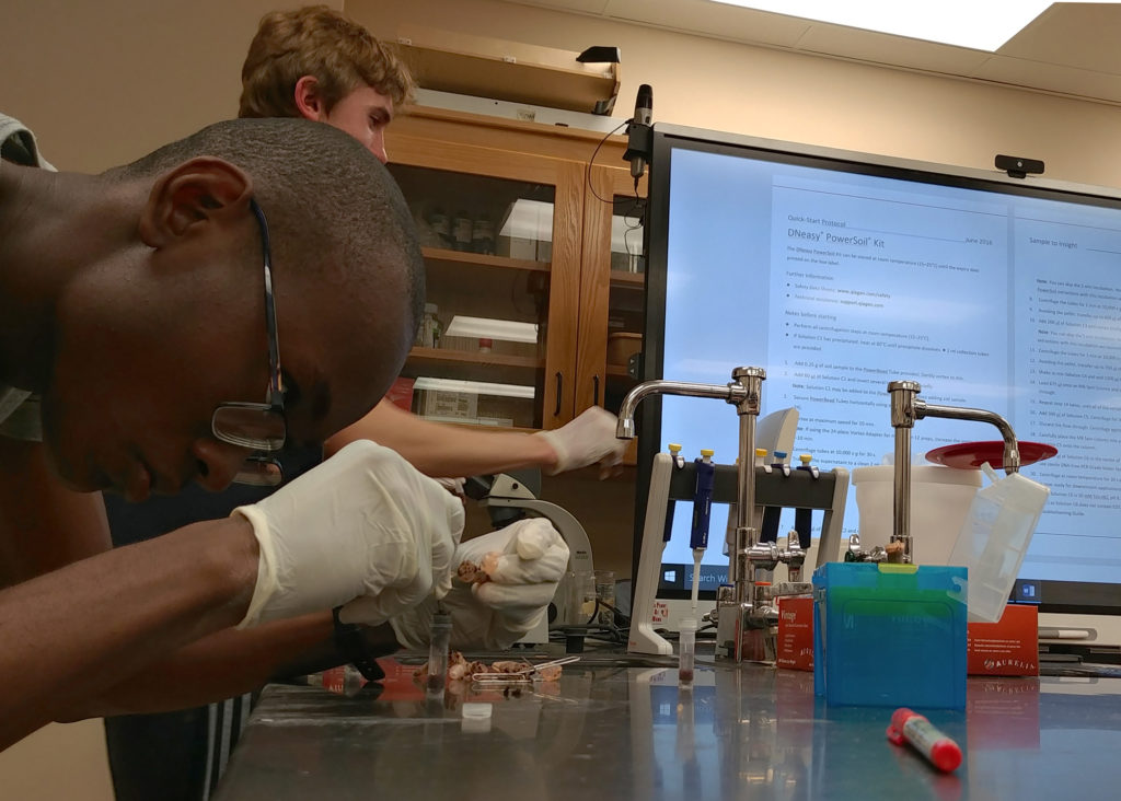 Students in the 2018 Boca Raton Community High School AICE Biology class prepped samples they had collected from the Arthur R. Marshall Loxahatchee National Wildlife Refuge to send to the JGI for the pilot project. (Jon Benskin)