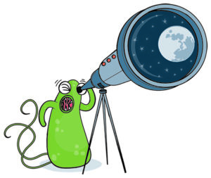 For the July 2019 Genome Watch article by Emiley Eloe-Fadrosh. (Credit: Philip Patenall/Springer Nature Limited)