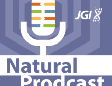 Natural Prodcast podcast logo