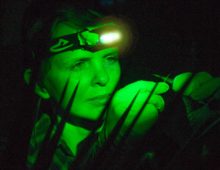 Karolina Heyduk conducting research in growth chamber in both night and daylight conditions. The following info. is provided by Heyduk 1) I cut leaf samples and use them for RNA analysis. This gives us an idea of what genes are expressed in that tissue at the time I harvested them. 2) I take gas measurements because it tells us when the plant is conducting gas exchange – CO2 into the leaf, water vapour out. For C3 plants, this happens during the day. For CAM plants, gas exchange happens at night. Gas exchange patterns are a way for us to assess whether a plant is C3 or CAM. 3) Green light is needed at night because plant stomata (pores on the leaves that allow for gases to enter and exit) respond to blue and red light. Plants are green to us because they reflect green light back while absorbing red and blue! To avoid stomatal opening, we keep to green lights. A key trait of CAM photosynthesis is that plants take up carbon at night and fix it then, as opposed to doing it during the daytime, like C3 plants. Because CAM is active at night, we have to check for gas exchange and gene expression throughout the day/night cycle to capture both C3 and CAM traits.